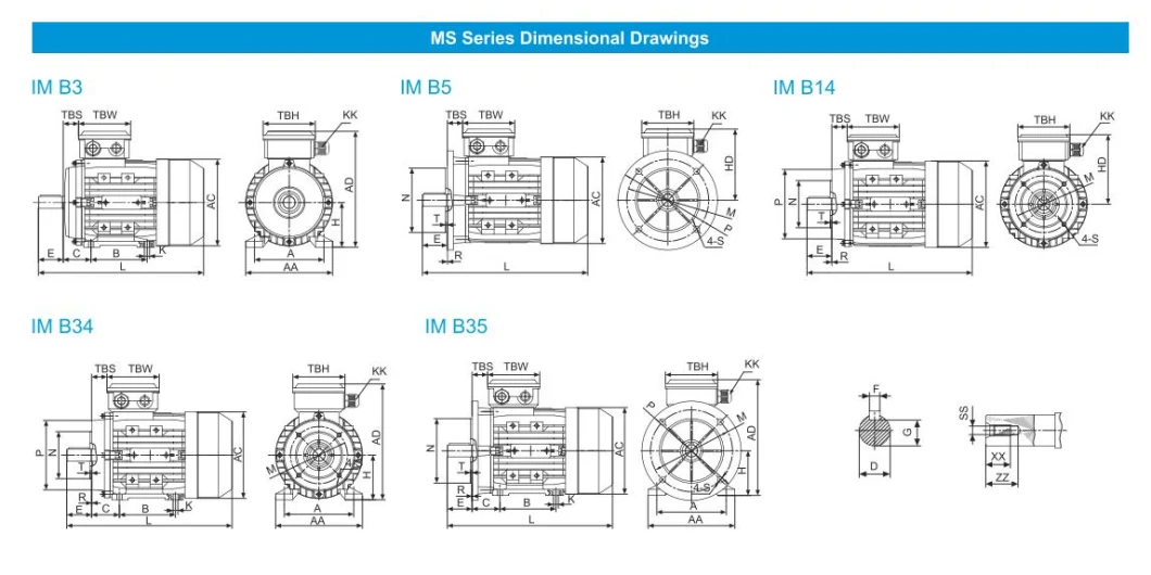 Ms Series Asynchronous Three Phase AC Induction Electric/Electrical Motor Ie1/Ie2/Ie3/Ie4