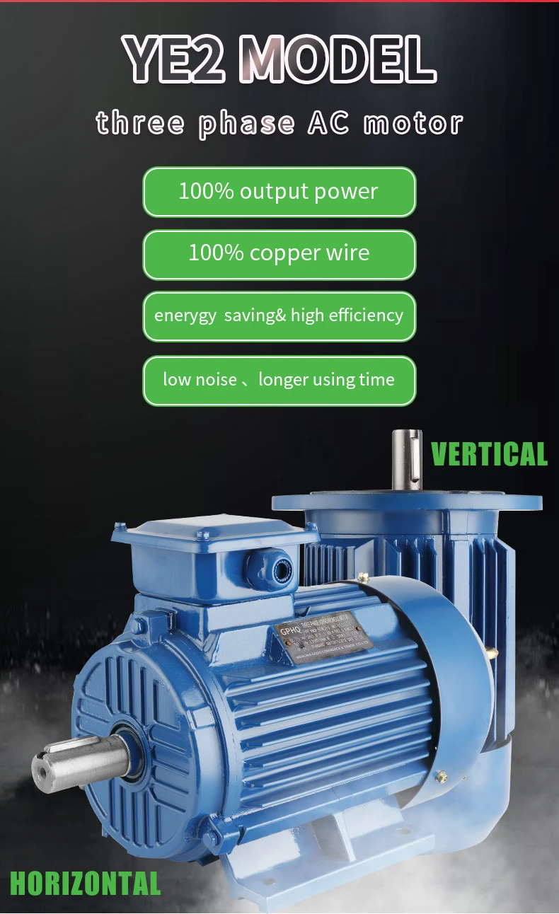 Y2/ Ye2 /Ye3 Series Three Phase High Efficiency Electric Motor