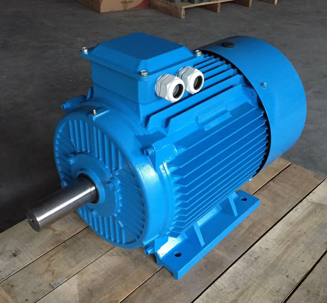 Y2 Series (MS) Three Phase Asynchronous Electric Motor (11kw)