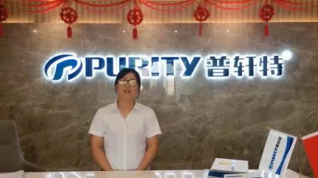 Purity Pump의 소방 펌프용 Ye3 시리즈 고효율 전기 모터