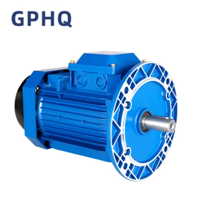 Gphq CE 승인 Ms 시리즈 전기 모터(알루미늄 본체, AC 모터, 전기 모터 포함)